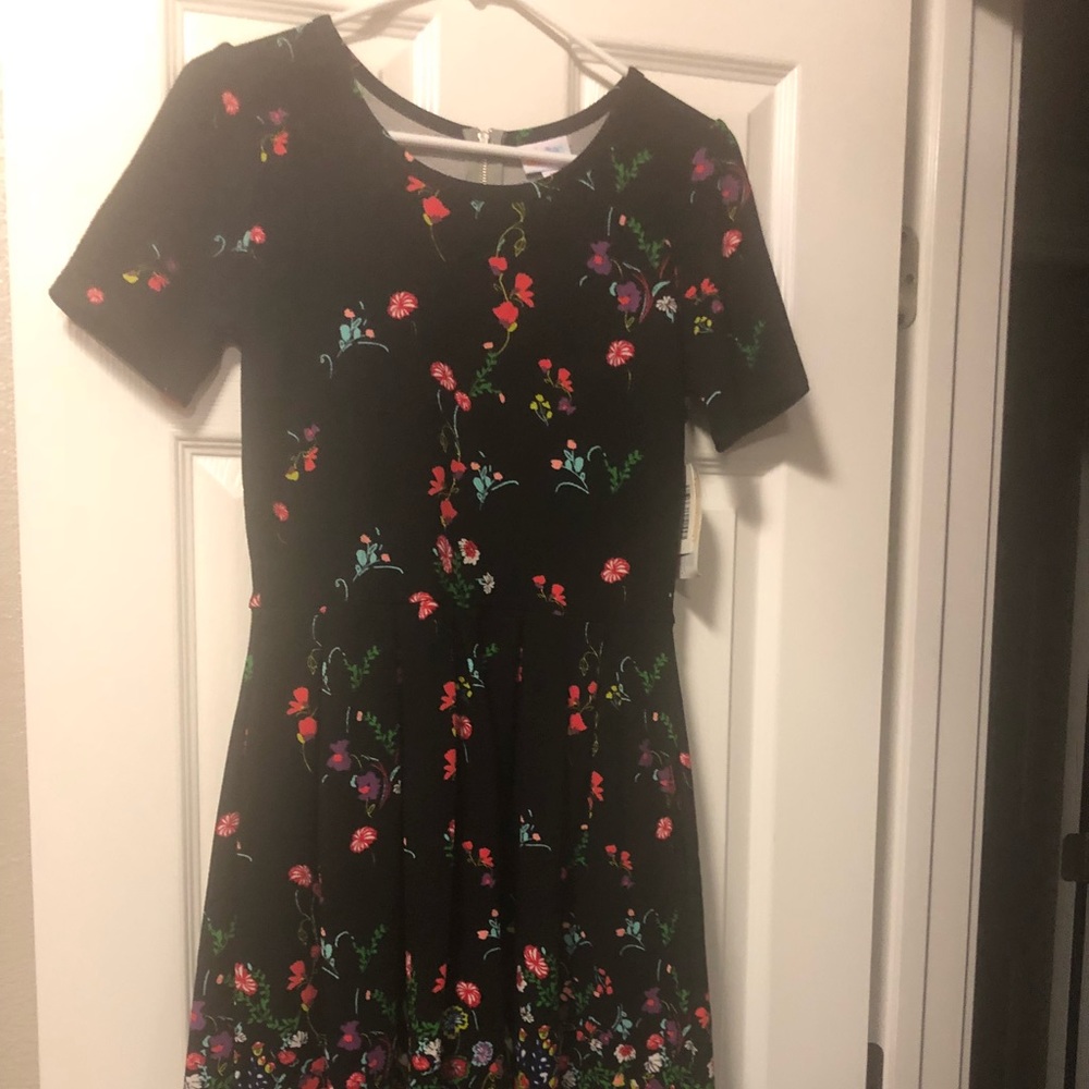 Brand NWT size Medium Amelia dress. Black/floral